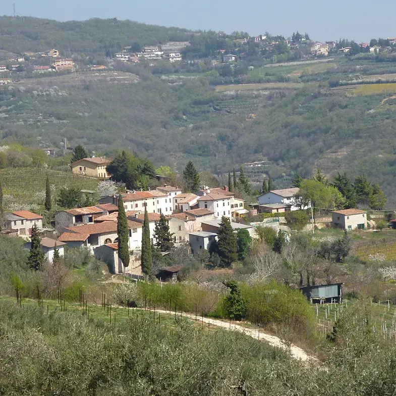 364-contrada-785px