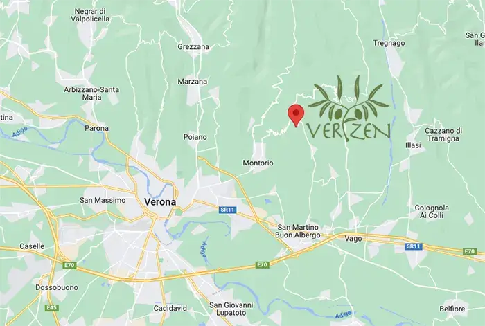 mappa I nostri uliveti si sviluppano tutti in pendenza il che rende obbligatoria una raccolta manuale delle olive